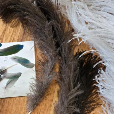 Feathers Lot