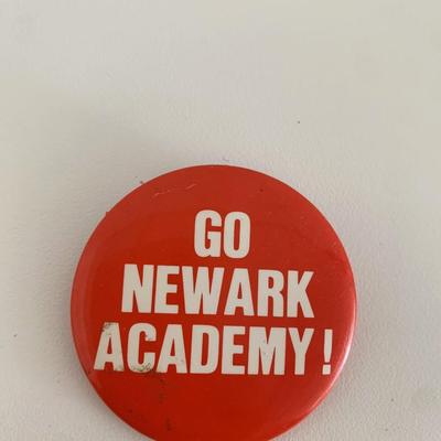 Go Newark Academy vintage pin