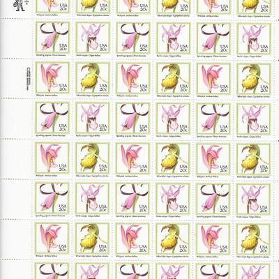 Orchid Stamps
