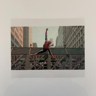 Spider-Man 8x10 photo unsigned