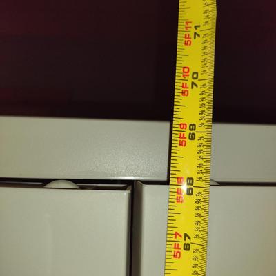 Black & Decker Storage Cabinet- Approx 25" x 17 1/2" x 69" Tall (Choice #1)