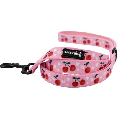 Sassy Woof 5' Dog Leash w/Sturdy D-Ring & 360 Degree Swivel Clasp in Mon Cherry Pink & Black Hardware