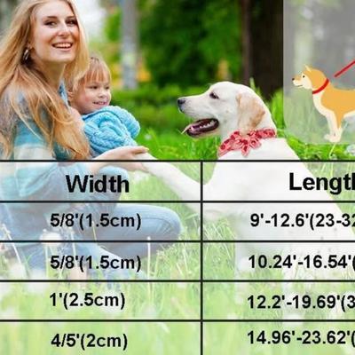 Size Small Navy Blue Sun Space Star Printed Small Dog Collar w/Matching Leash, Bowtie & Flower Rose Gold Hardware