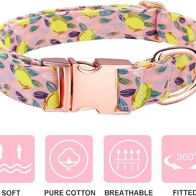 Size Small Pink & Yellow Lemon Printed Small Dog Collar w/Matching Leash, Bowtie & Flower Rose Gold Hardware