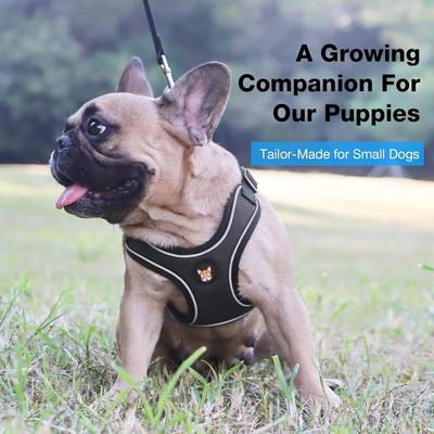 Size Medium Black Adjustable Dog Harness & Leash Set No Pull, Step in Escape Proof & Reflective w/Leash