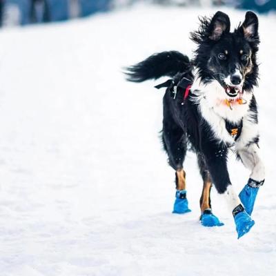 Size Large Non-Stop Dogwear Long Distance Bootie 4pk