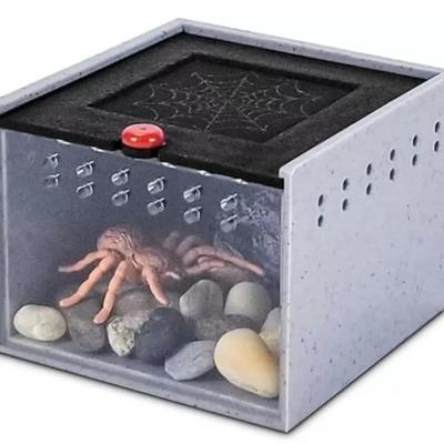 Small Insect Clear Viewing Degree Jumping Spider Enclosure
