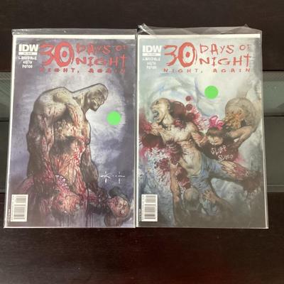 Lot of two 30 days of night again Comic books