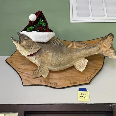 A2-Fish Mount