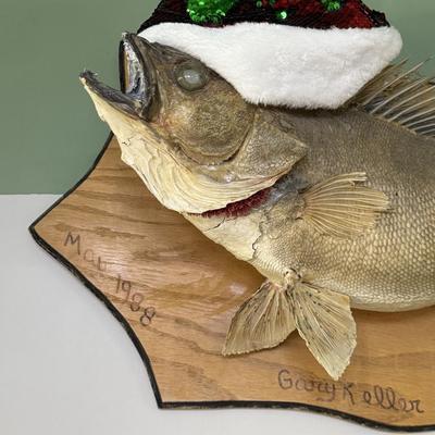 A2-Fish Mount