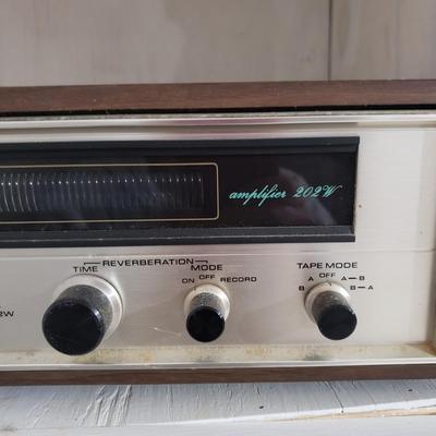 Pioneer Reverberation Amplifier (WM-KD)