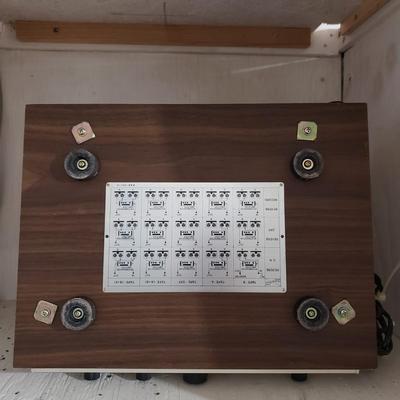 Pioneer Reverberation Amplifier (WM-KD)
