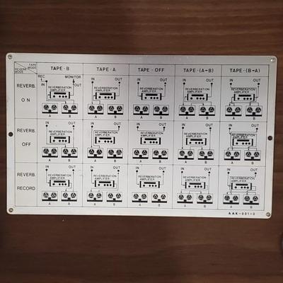 Pioneer Reverberation Amplifier (WM-KD)
