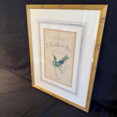 Oliver Goldsmith Hummingbird Illustration (Gladstone & Elwyn-Jones) and More (DR-BM)