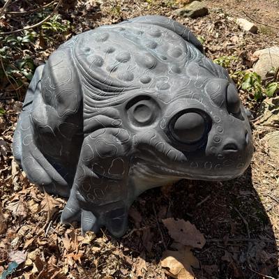 Funky Frog Decor (BD-BM)