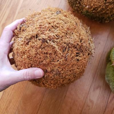 Grapevine/Moss Topiary Balls and More (O-KD)