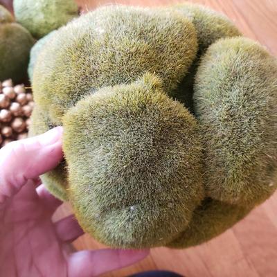 Grapevine/Moss Topiary Balls and More (O-KD)