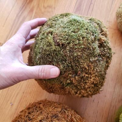 Grapevine/Moss Topiary Balls and More (O-KD)