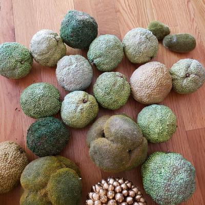 Grapevine/Moss Topiary Balls and More (O-KD)