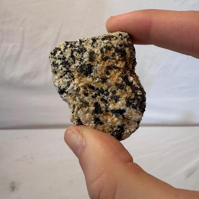 Fossils, Stone Vases, and More! (O-DZ)