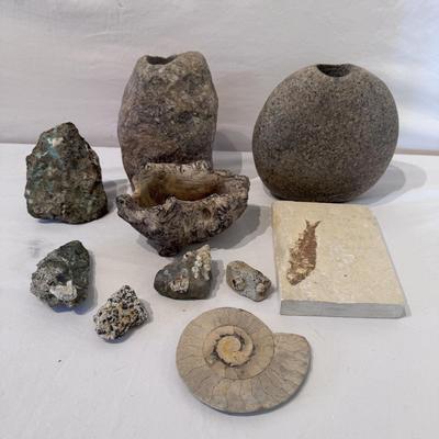Fossils, Stone Vases, and More! (O-DZ)