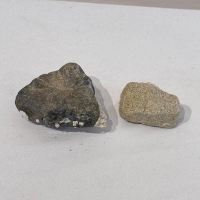 Fossils, Stone Vases, and More! (O-DZ)