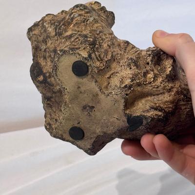Fossils, Stone Vases, and More! (O-DZ)