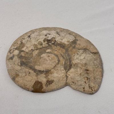 Fossils, Stone Vases, and More! (O-DZ)