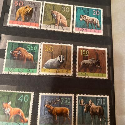 Polish stamps in book