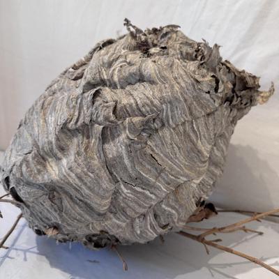 Hornet’s Nest Hive, G. Gibson Signed Birdhouses and Other Naturally Sourced Items (O-DZ)