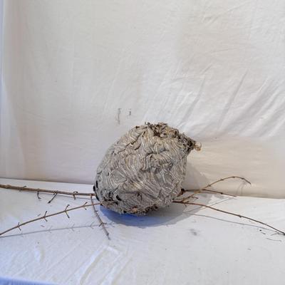 Hornet’s Nest Hive, G. Gibson Signed Birdhouses and Other Naturally Sourced Items (O-DZ)