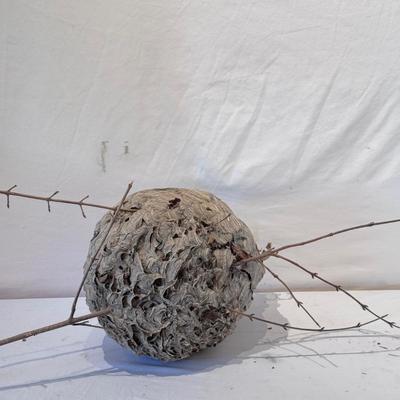 Hornet’s Nest Hive, G. Gibson Signed Birdhouses and Other Naturally Sourced Items (O-DZ)