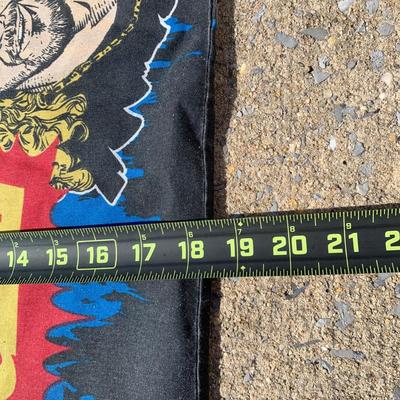 LOT 27 B: Northwest Co. WWF The Rock & Stone Cold Steve Austin Woven Throw Blankets w/ 1998 WCW Pillowcase & Goldberg Throw Pillow