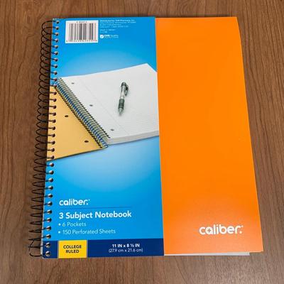 LOT 82 A: NWT 2 Eaglesport NFL ALUMNI Backpacks & Summit Ridge Backpack w/ NIP School Supplies