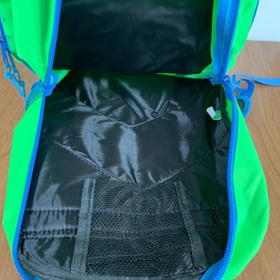 LOT 82 A: NWT 2 Eaglesport NFL ALUMNI Backpacks & Summit Ridge Backpack w/ NIP School Supplies