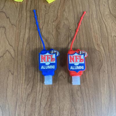 LOT 82 A: NWT 2 Eaglesport NFL ALUMNI Backpacks & Summit Ridge Backpack w/ NIP School Supplies