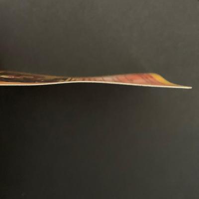 LOT 170 A: 1996-1999 Pokemon TCG Cards; Pikachu Project, Mewtwo Strikes Back, Pikachu's Vacation, English & Japanese Cards