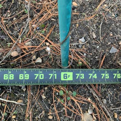 LOT 176 O: Lighted Outdoor Arch Lawn Decor