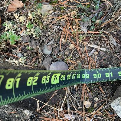 LOT 176 O: Lighted Outdoor Arch Lawn Decor