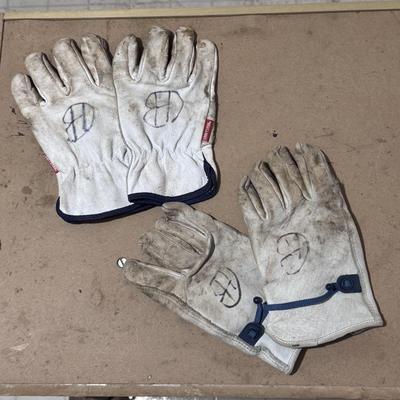All Things Safety Wear (WM-DZ)