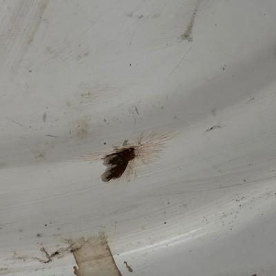 LOT 399: Vintage Enamelware Flintstone Wash Basin/Baby Tub & More