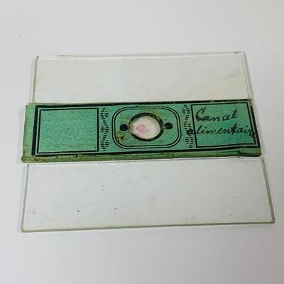 LOT 447: Vintage Brass Three Power French Compound Miroscope Made by the Perry Mason Company