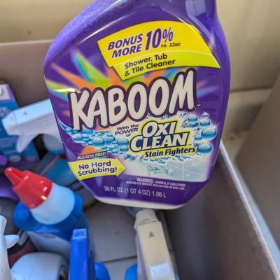 Household Cleaning Supplies Box 1 (G)
