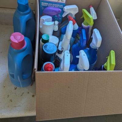 Household Cleaning Supplies Box 1 (G)