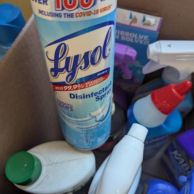 Household Cleaning Supplies Box 1 (G)