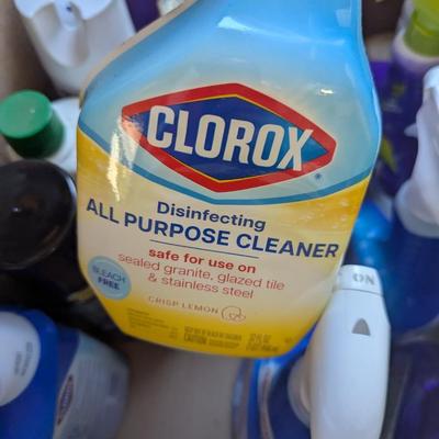 Household Cleaning Supplies Box 1 (G)