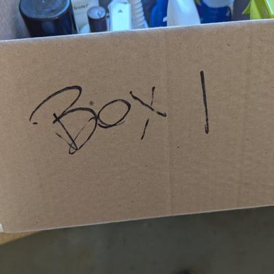 Household Cleaning Supplies Box 1 (G)