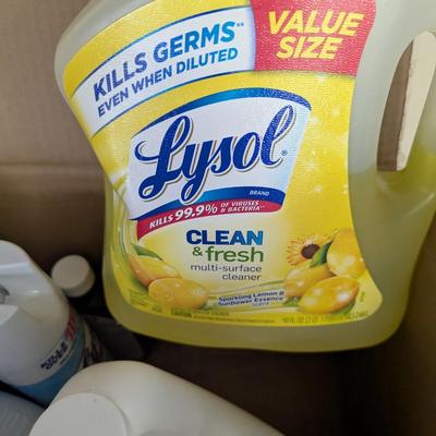 Household Cleaning Supplies Box 2( G)
