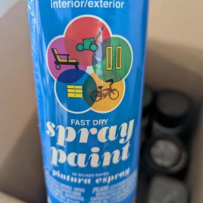 Assortment Of Spray Cans Paint Thinner Box 6 (G)