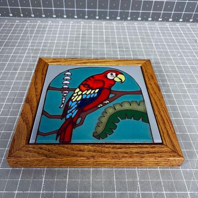 Parrot; Wall Hanging, Trivet, Etc. 